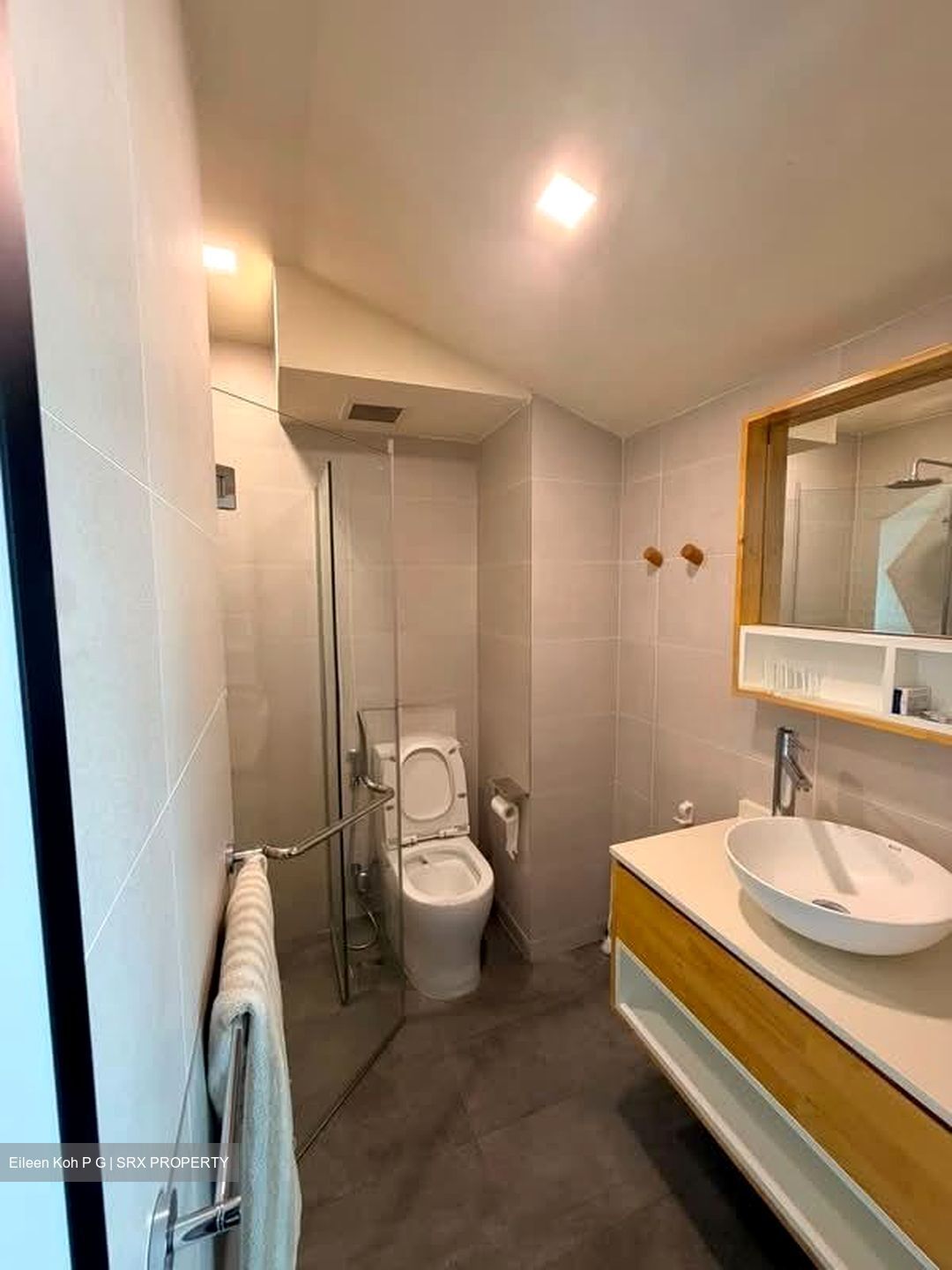 Loft @ Rangoon (D8), Apartment #592743201